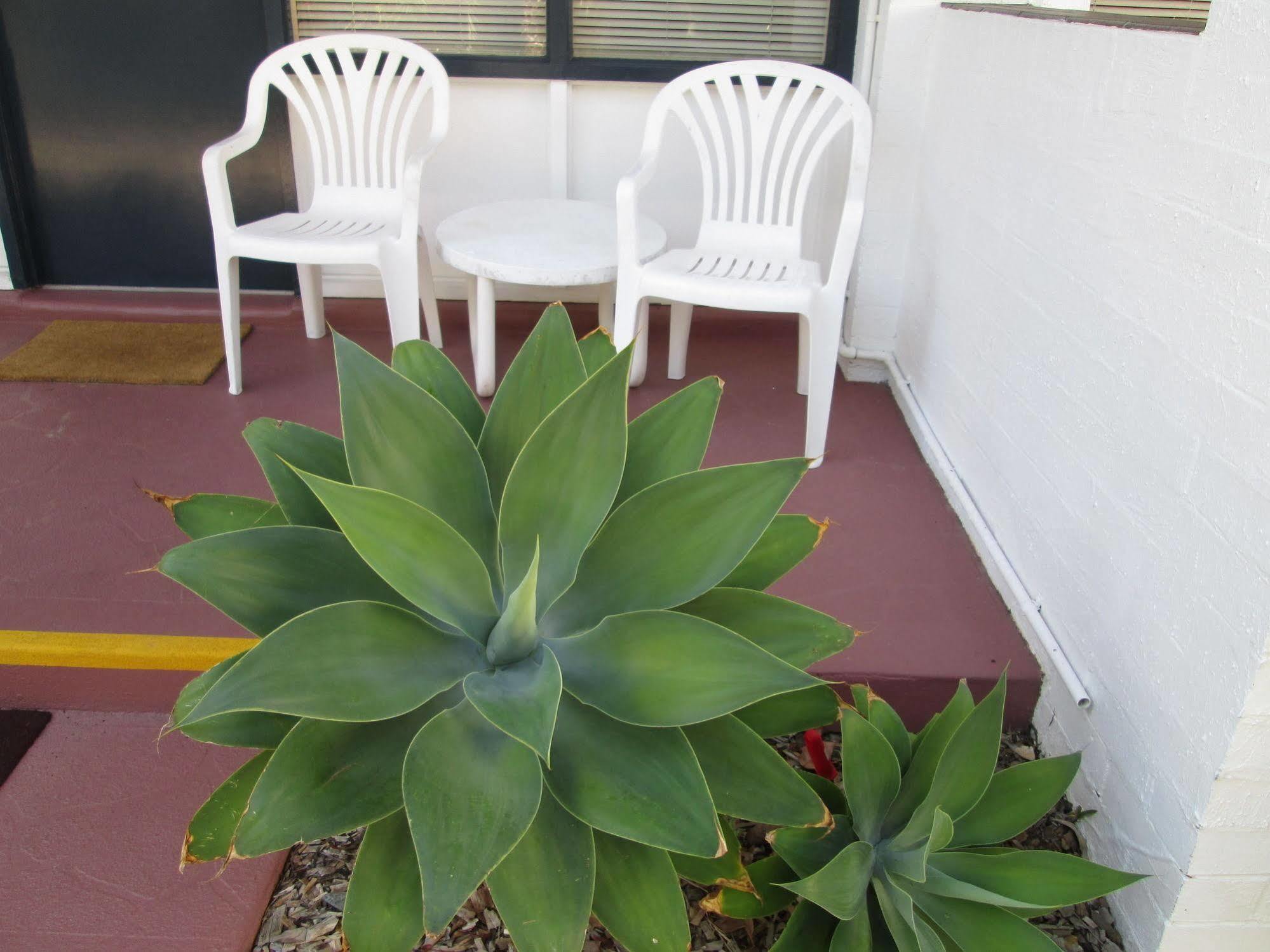 Tower Court Motel - Adults Only Haven Hervey Bay Ngoại thất bức ảnh